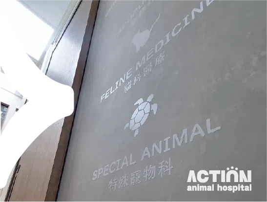 醫療科目 1.PNG