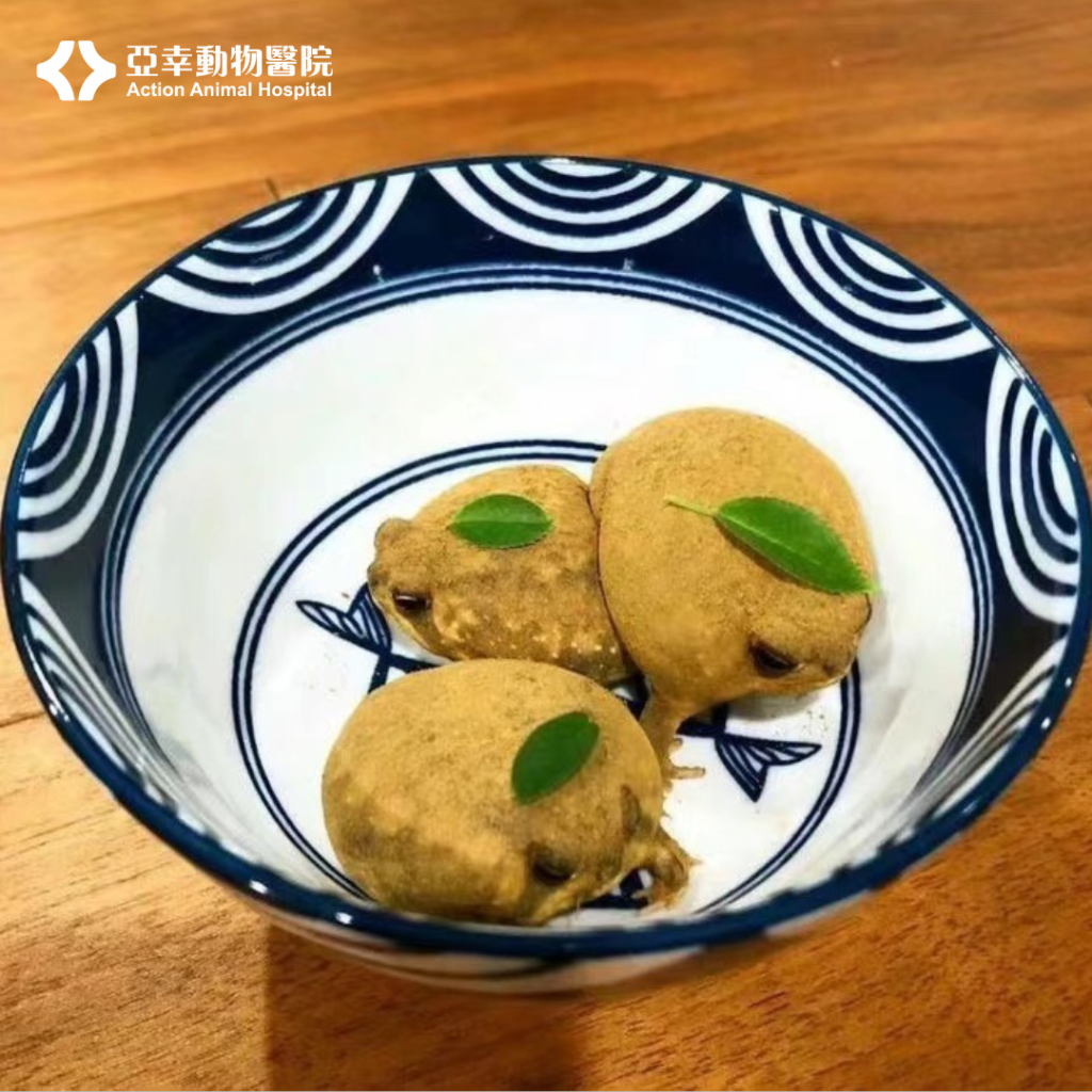 饅頭蛙