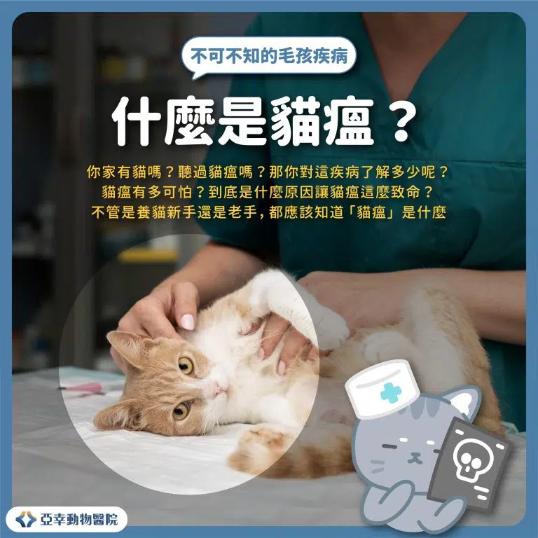 貓瘟