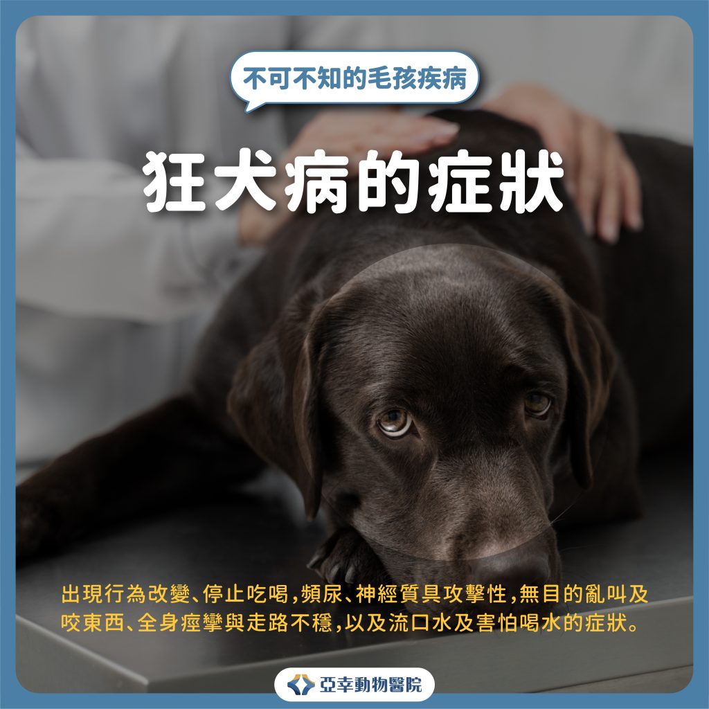 狂犬病 2