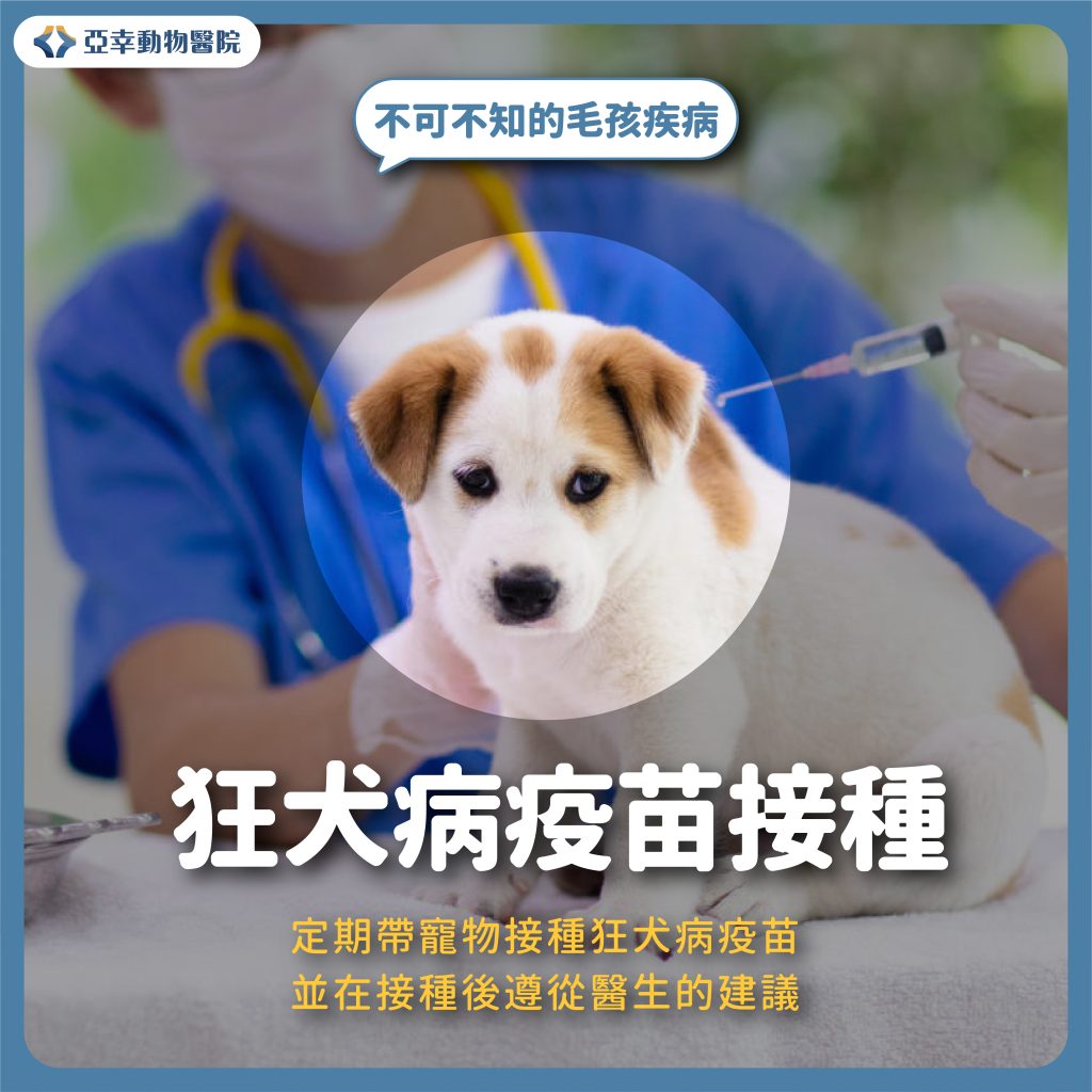 狂犬病 3