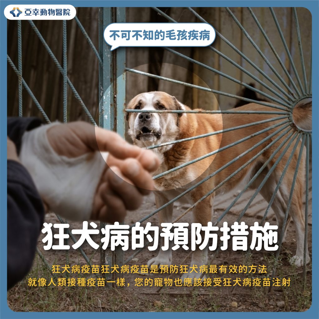 狂犬病 4