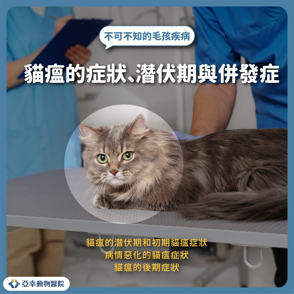 貓瘟 2
