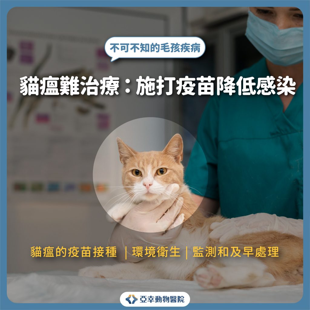 貓瘟 5 1