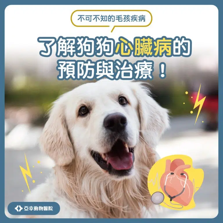 00.主圖 1