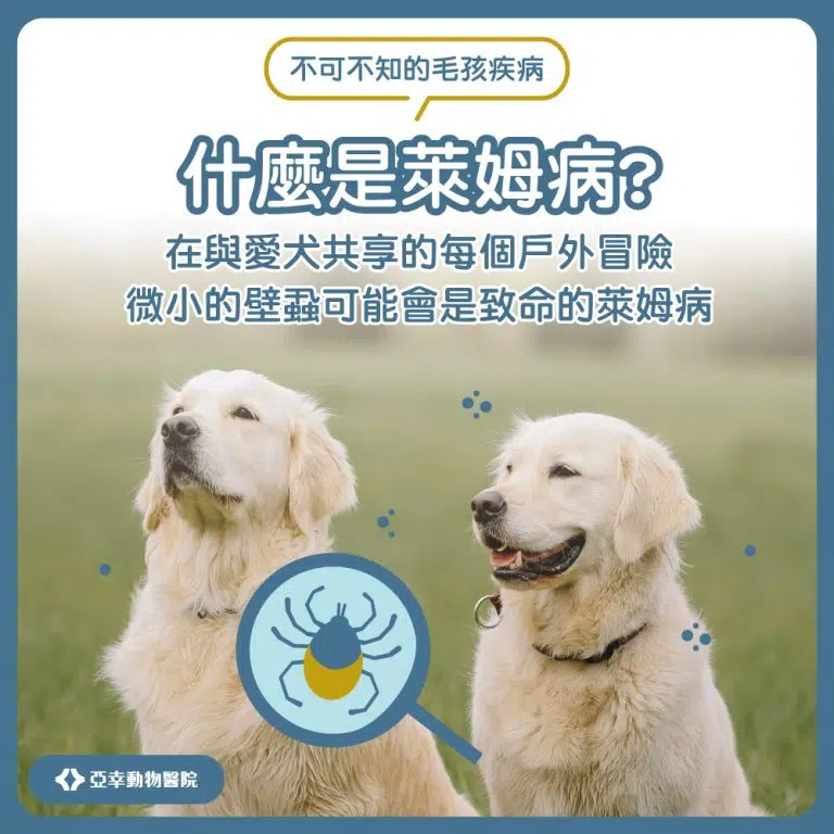 萊姆病