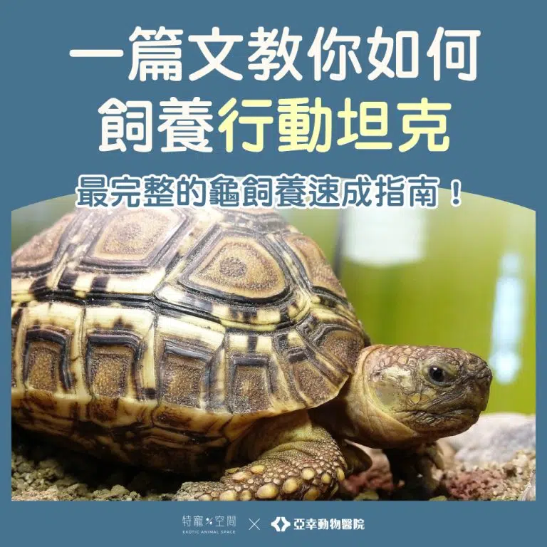 行動坦克-01封面