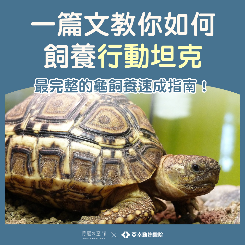 行動坦克-01封面