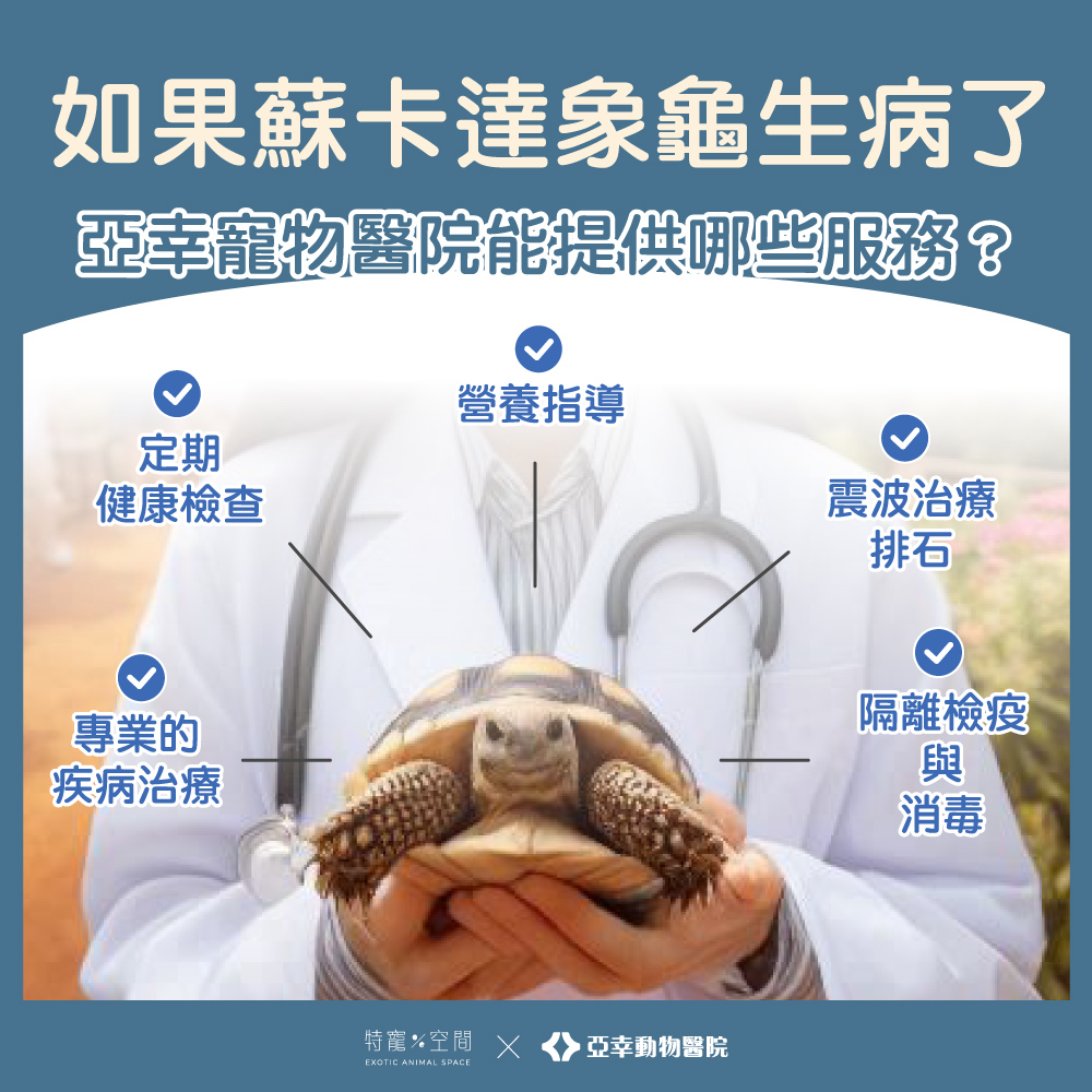行動坦克-07