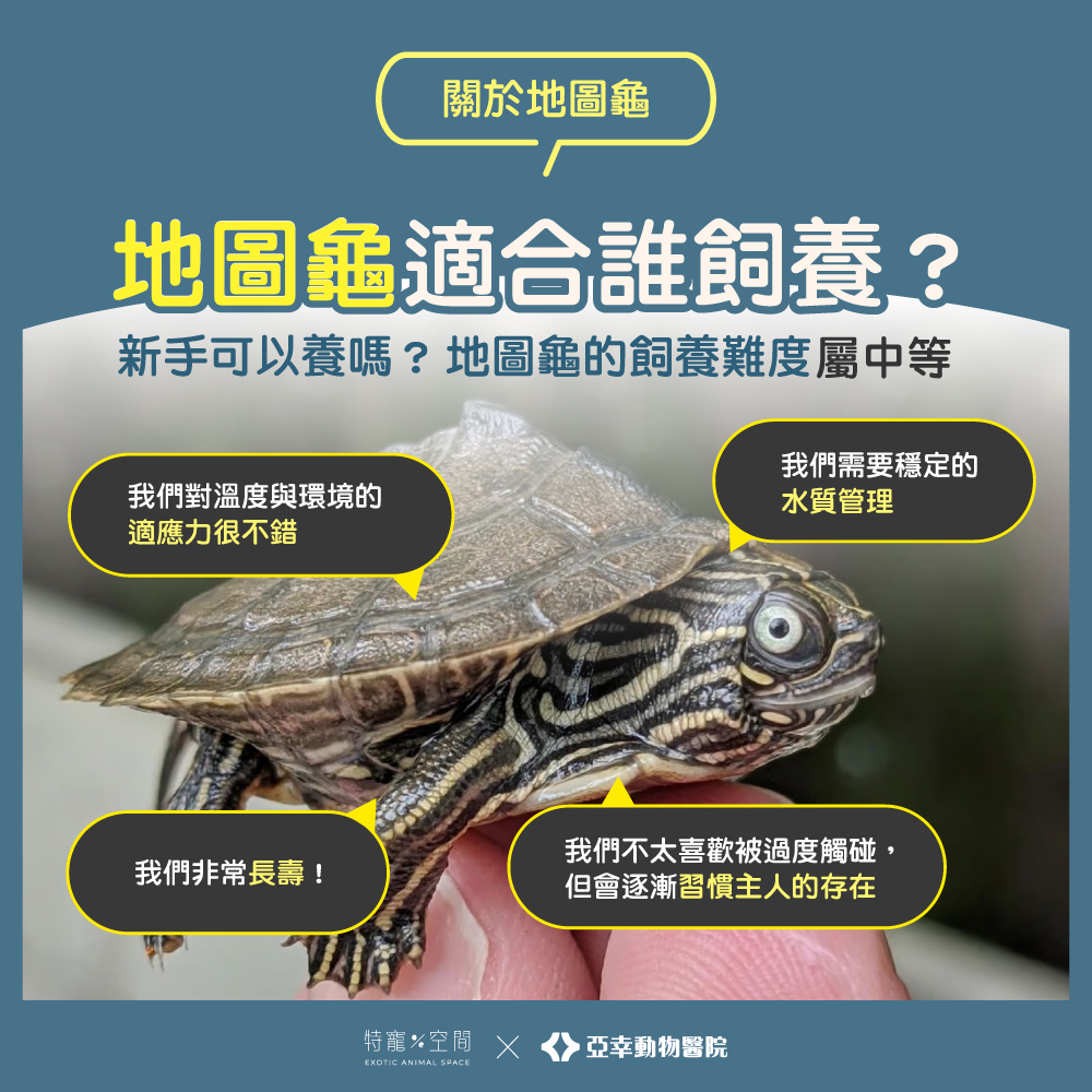 03 地圖龜適合誰飼養？新手可以嗎？