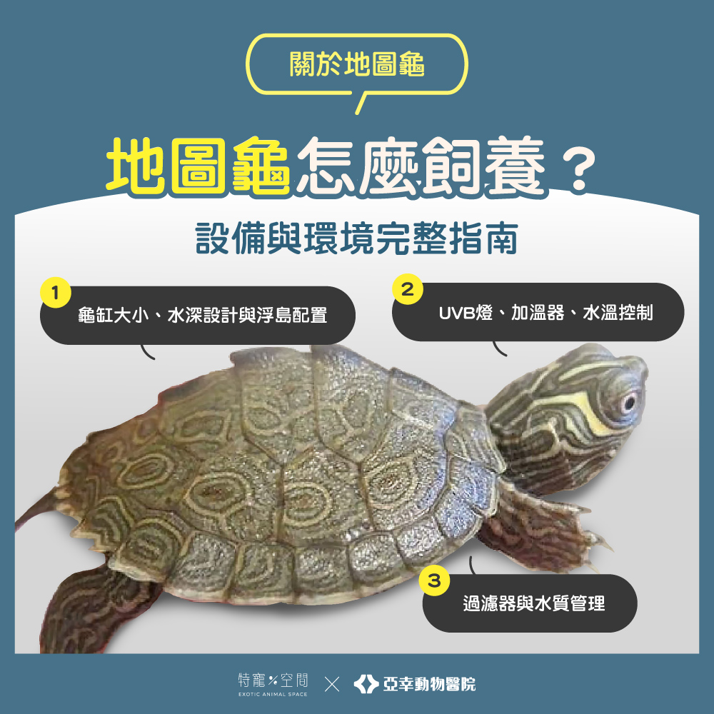 04 地圖龜怎麼飼養？設備與環境完整指南