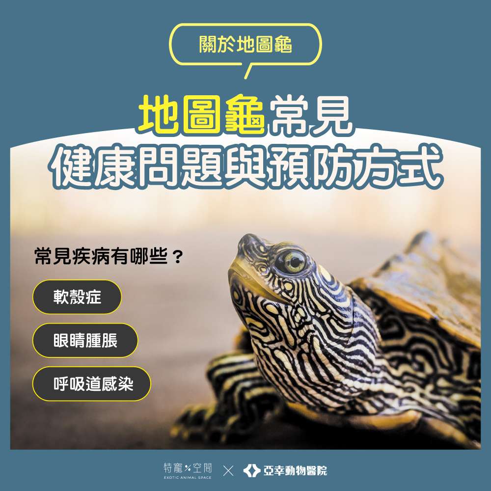 06 地圖龜常見健康問題與預防方式