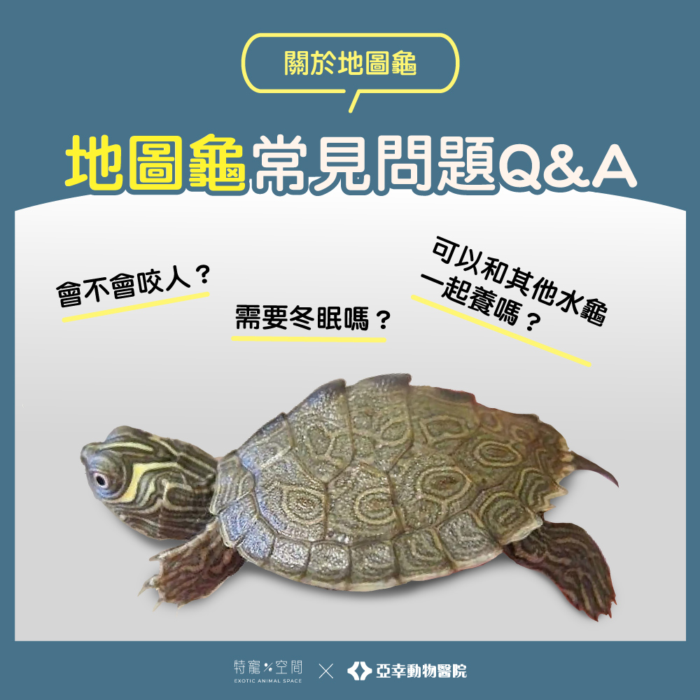 07 地圖龜常見問題QA