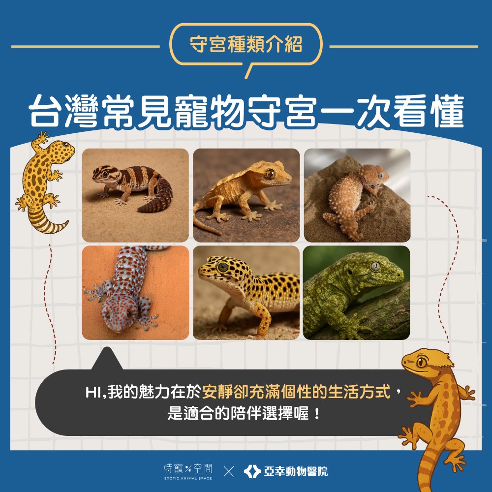 守宮種類