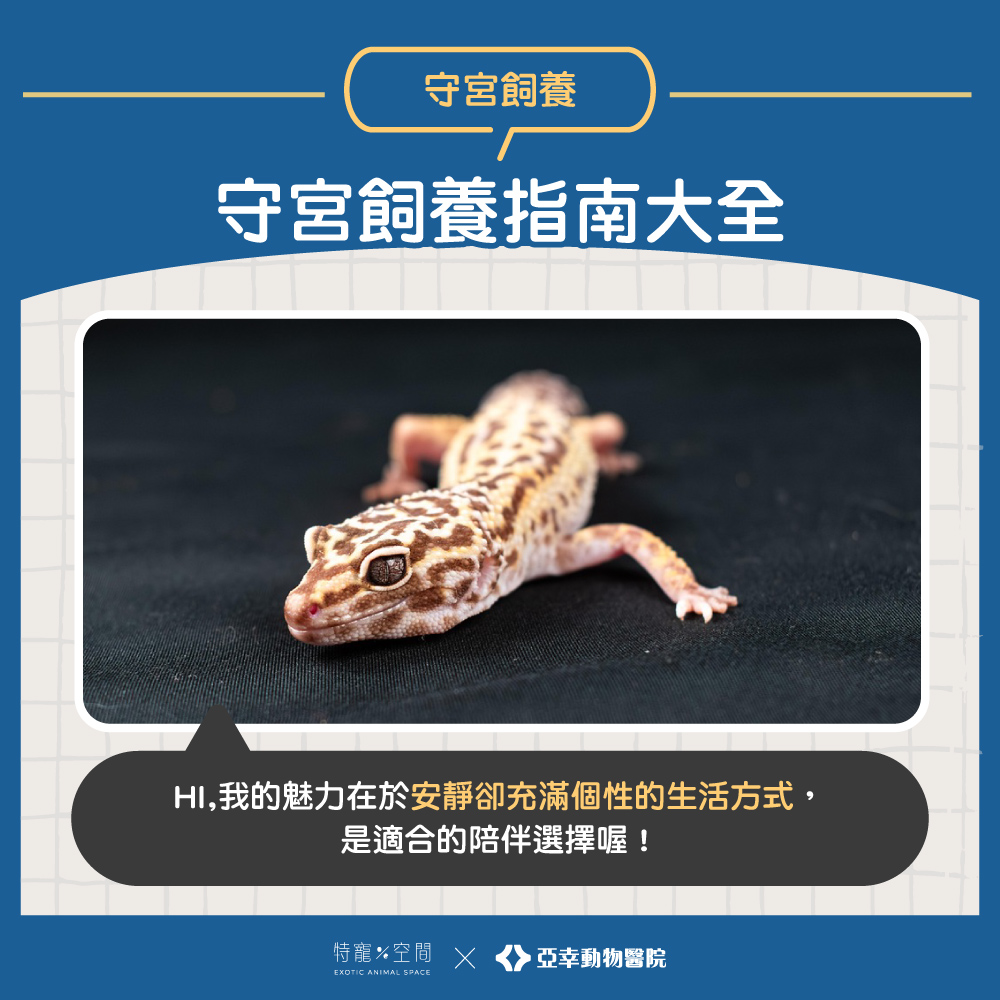 01.封面 守宮飼養指南