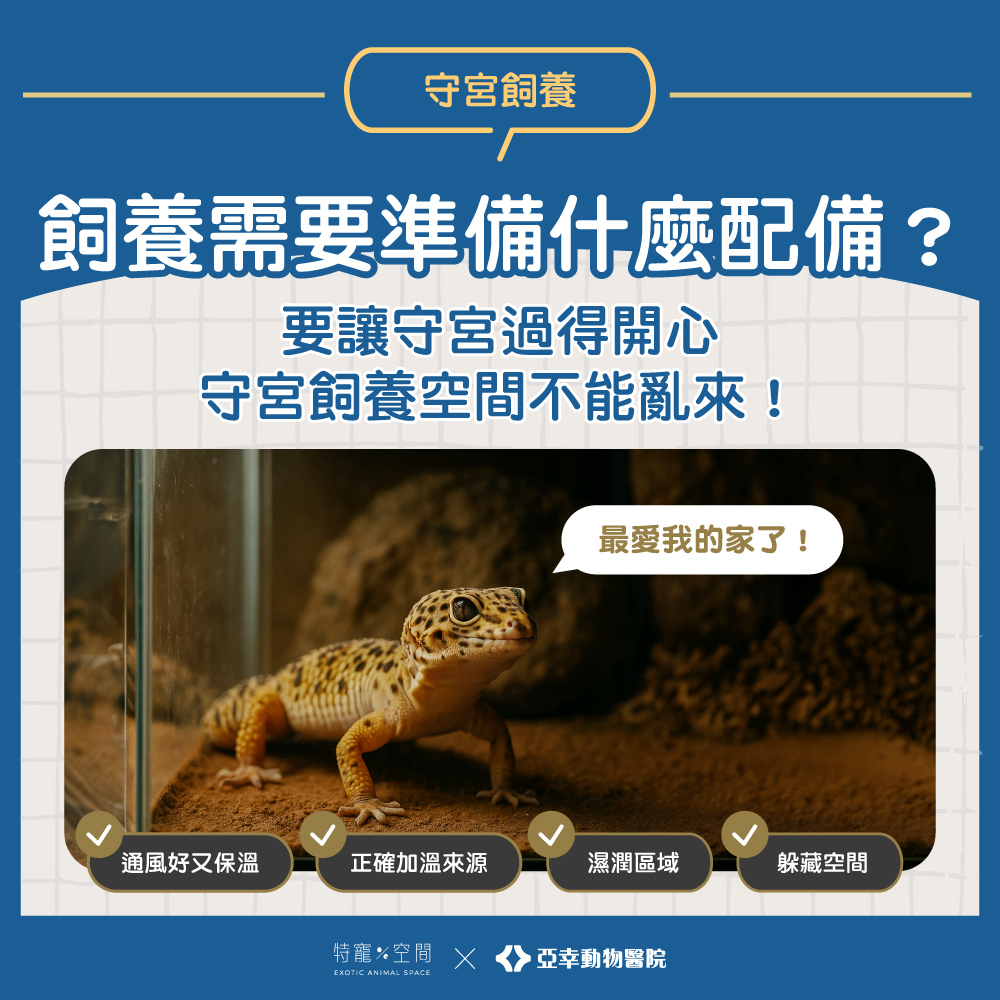 04.飼養需要準備什麼配備？