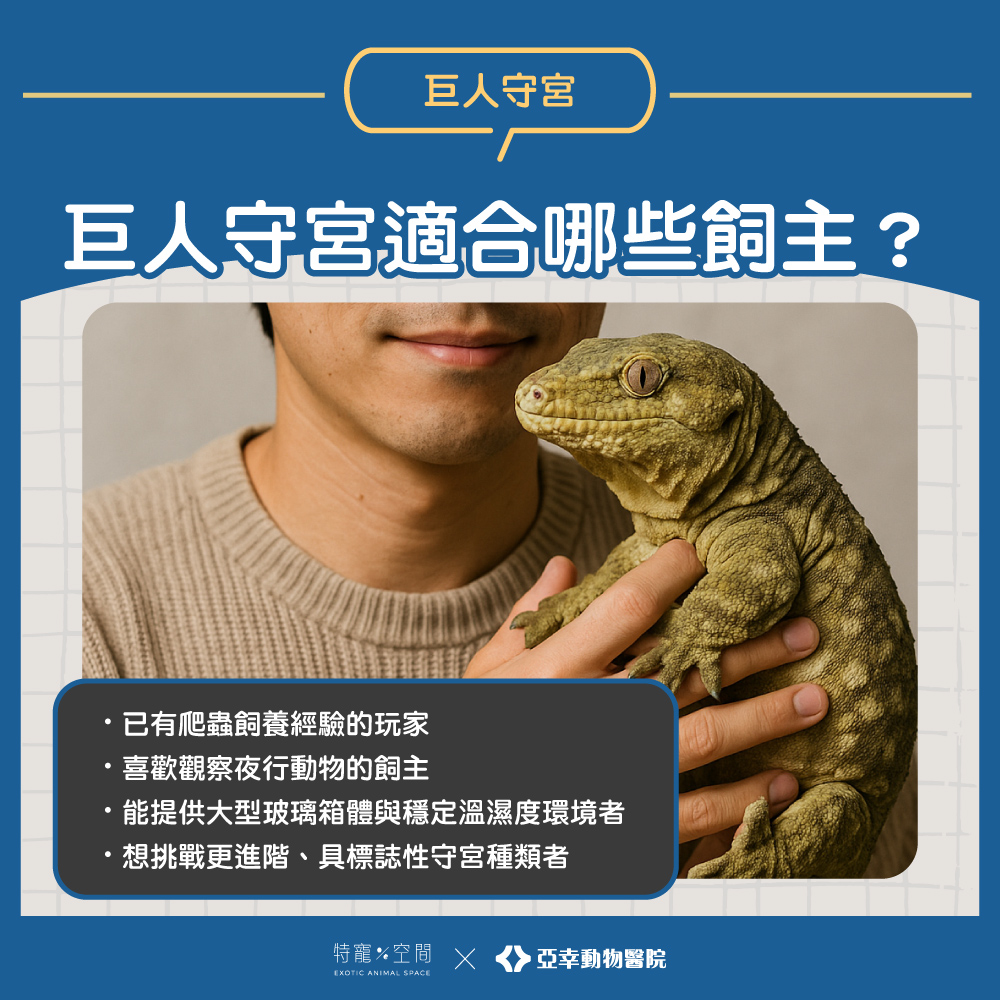 04.巨人守宮適合哪些飼主