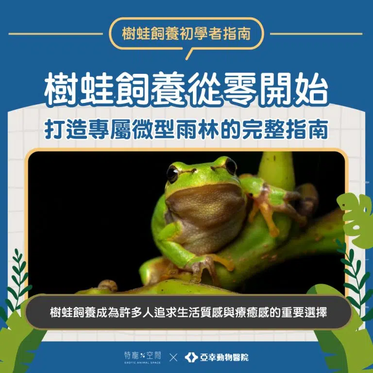 01.封面 樹蛙飼養從零開始