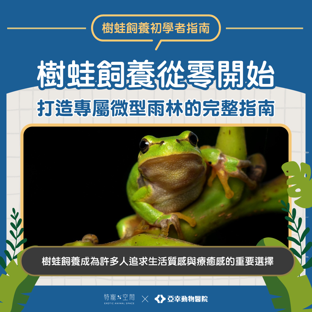 01.封面 樹蛙飼養從零開始