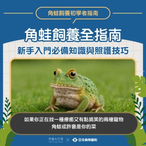 角蛙飼養