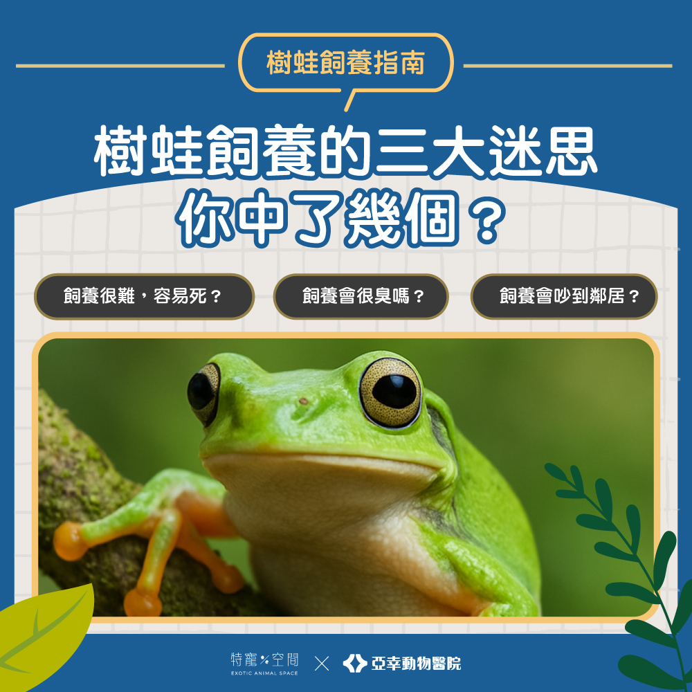 02.樹蛙飼養的三大迷思你中了幾個？