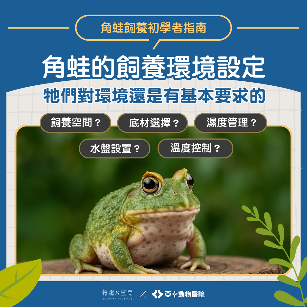 02.角蛙的飼養環境設定