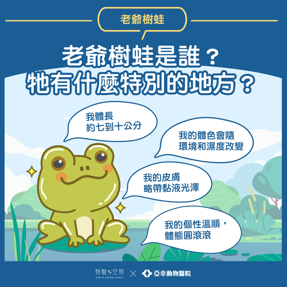 02.老爺樹蛙是誰？