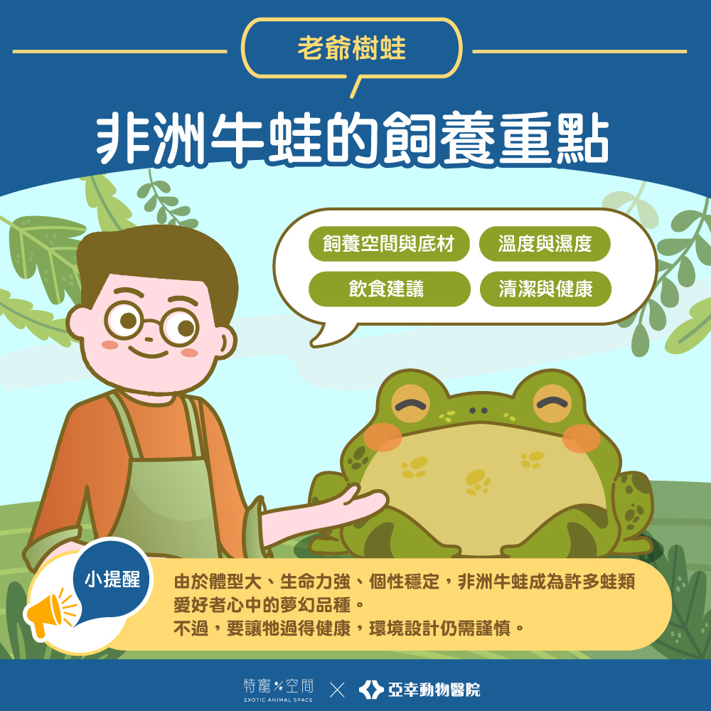 03.非洲牛蛙的飼養重點