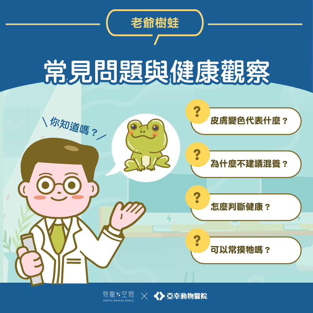 老爺樹蛙介紹與飼養指南:環境布置與健康照顧全解析 | 高雄中獸醫推薦針灸、四級雷射、復健推拿【亞幸動物醫院】