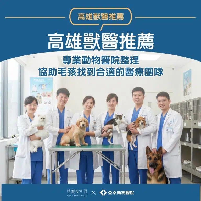 01.高雄獸醫推薦｜專業動物醫院整理