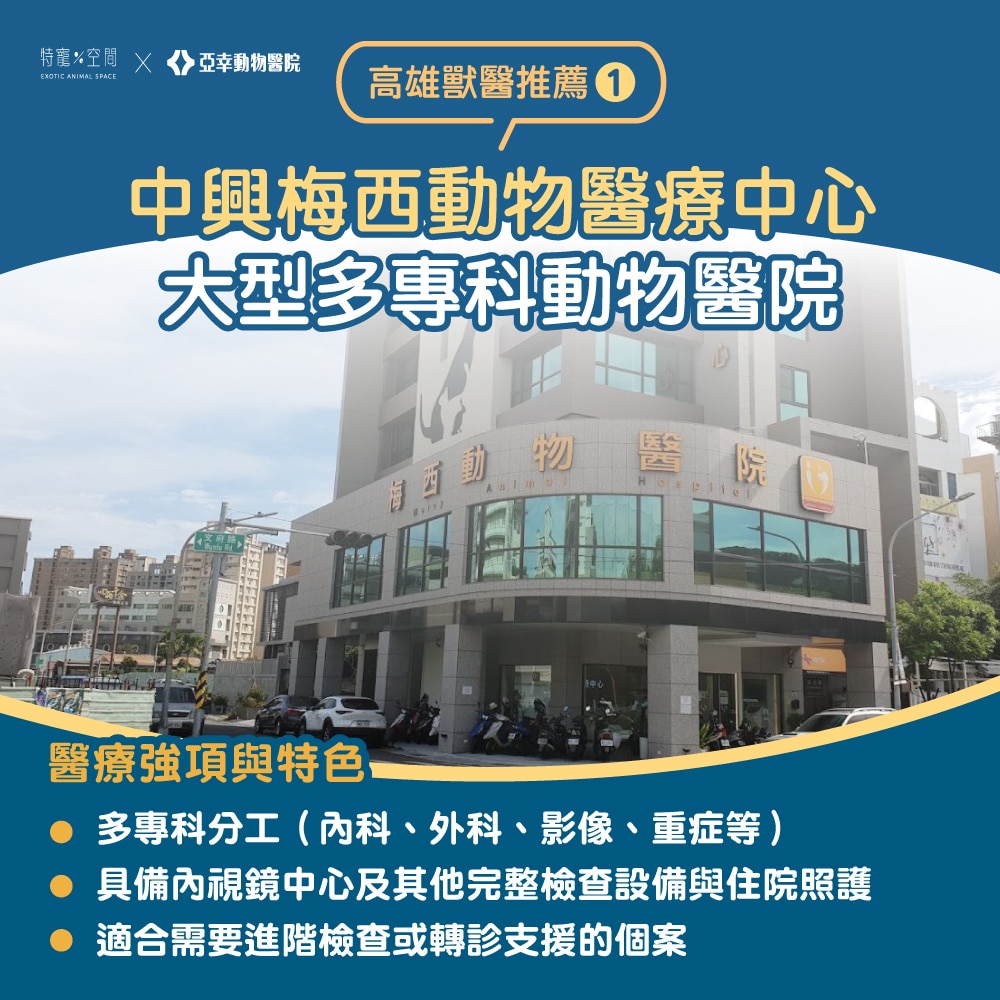 【2026高雄獸醫推薦】嚴選 7 間人氣動物醫院:24H 急診、貓專科、特寵醫療全收錄 1 02.中興梅西動物醫療中心
