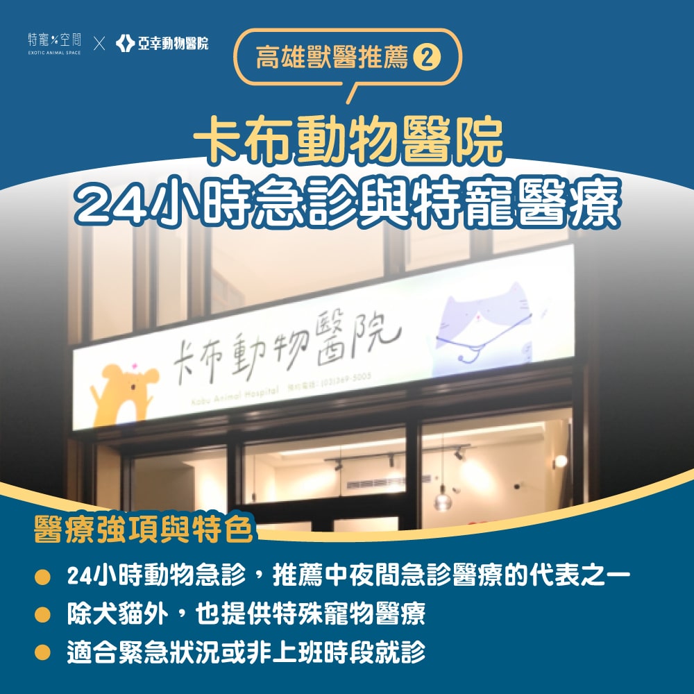 【2026高雄獸醫推薦】嚴選 7 間人氣動物醫院:24H 急診、貓專科、特寵醫療全收錄 2 03.卡布動物醫院