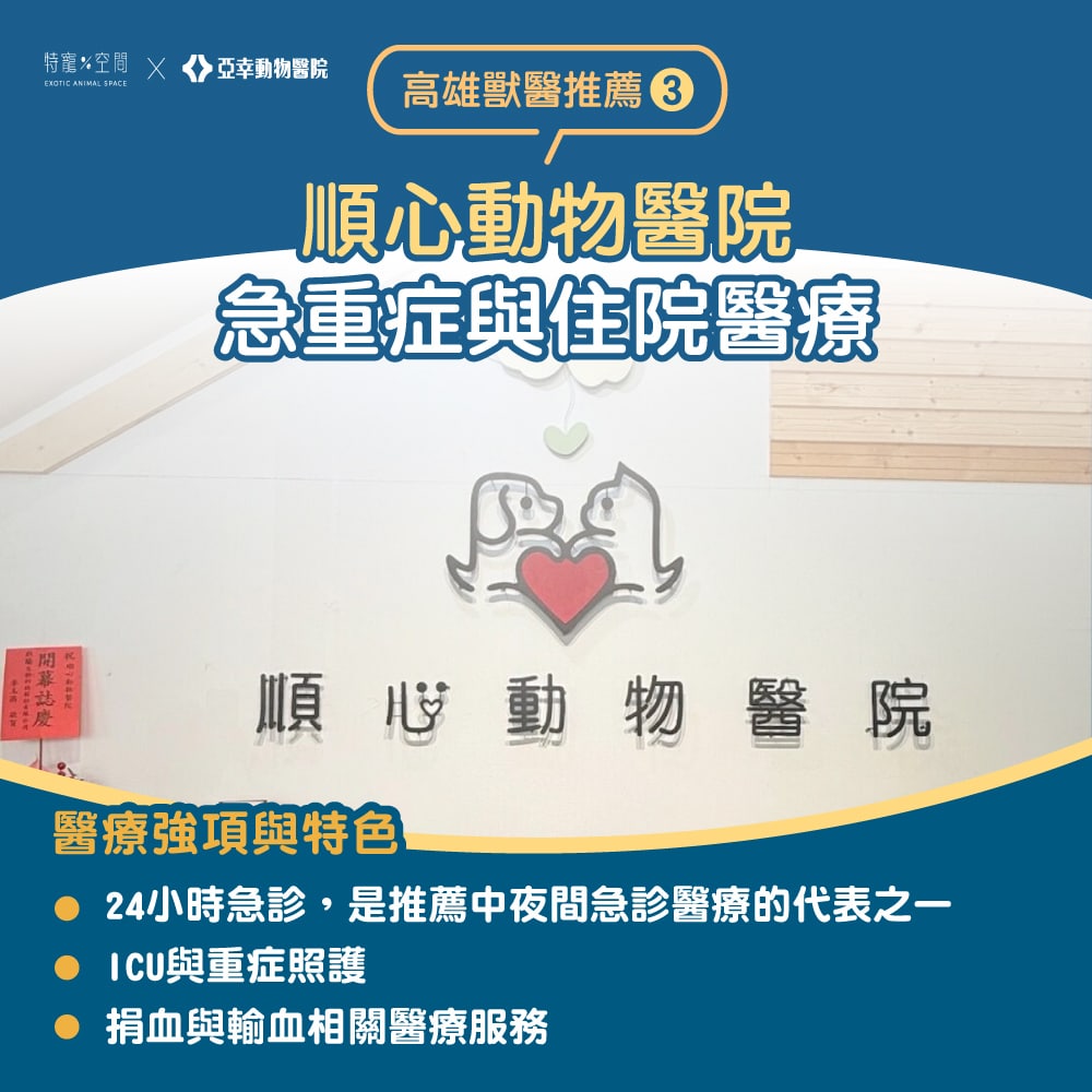 【2026高雄獸醫推薦】嚴選 7 間人氣動物醫院:24H 急診、貓專科、特寵醫療全收錄 3 04.順心動物醫院