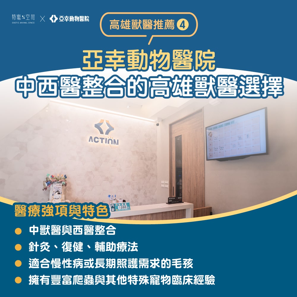 【2026高雄獸醫推薦】嚴選 7 間人氣動物醫院:24H 急診、貓專科、特寵醫療全收錄 4 高雄獸醫推薦