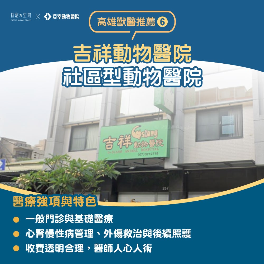 【2026高雄獸醫推薦】嚴選 7 間人氣動物醫院:24H 急診、貓專科、特寵醫療全收錄 6 07.吉祥動物醫院