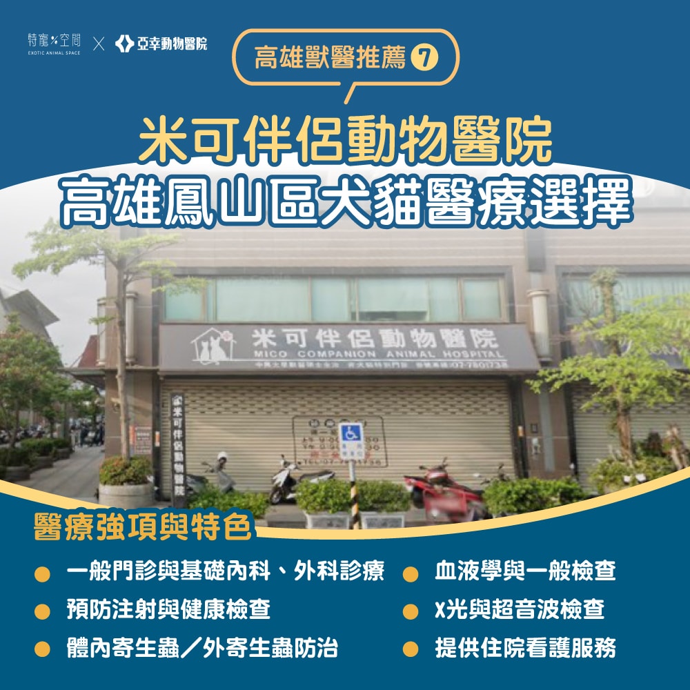 【2026高雄獸醫推薦】嚴選 7 間人氣動物醫院:24H 急診、貓專科、特寵醫療全收錄 7 08.米可伴侶動物醫院
