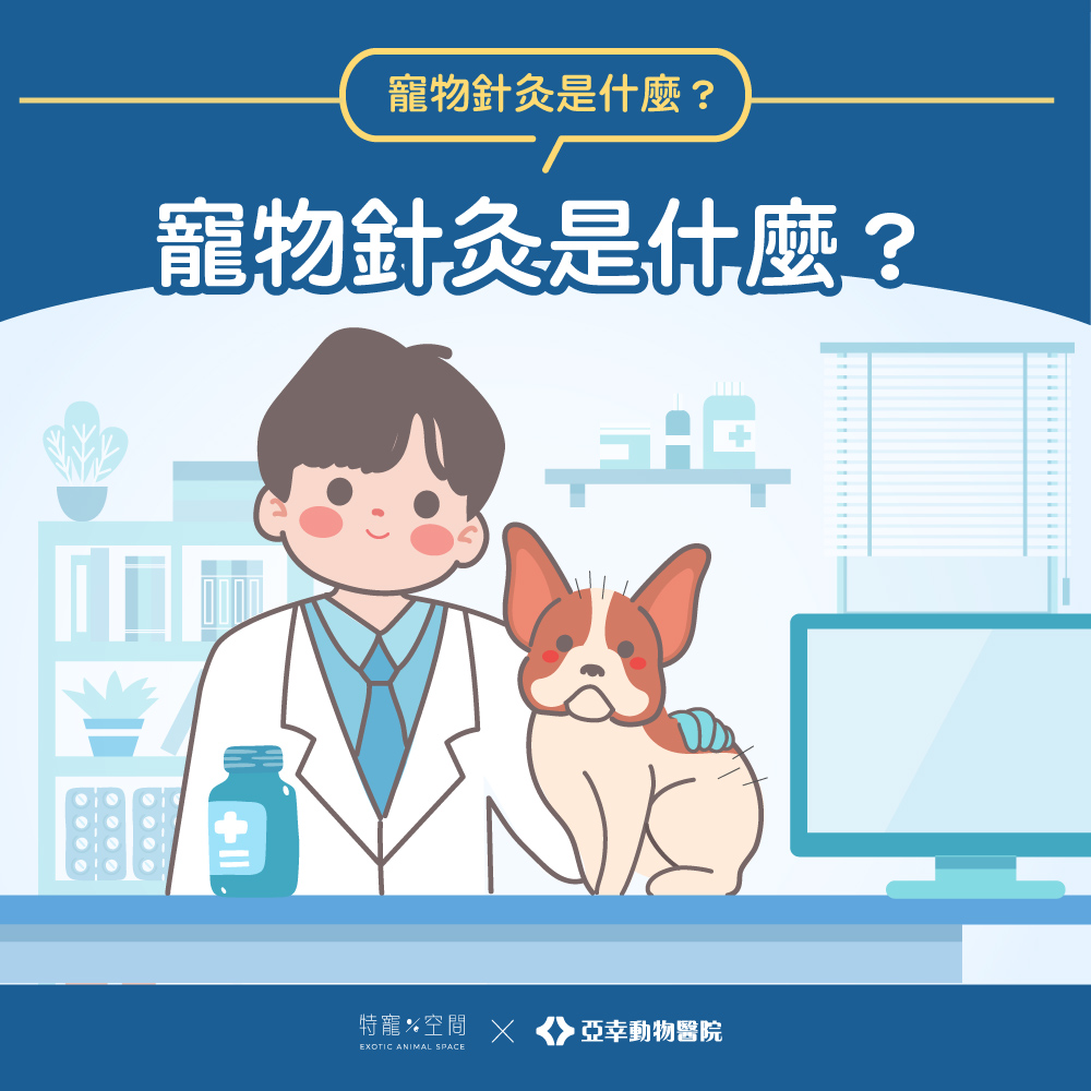 寵物針灸02.寵物針灸是什麼？
