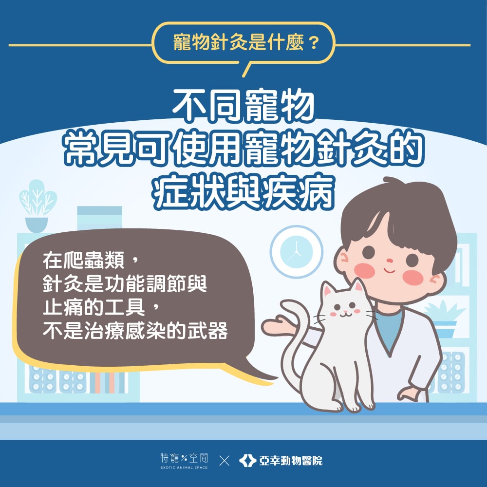寵物針灸是什麼?哪些動物適合?獸醫師帶你一次看懂適應症與照護重點 2 寵物針灸04.不同寵物常見可使用寵物針灸的症狀與疾病