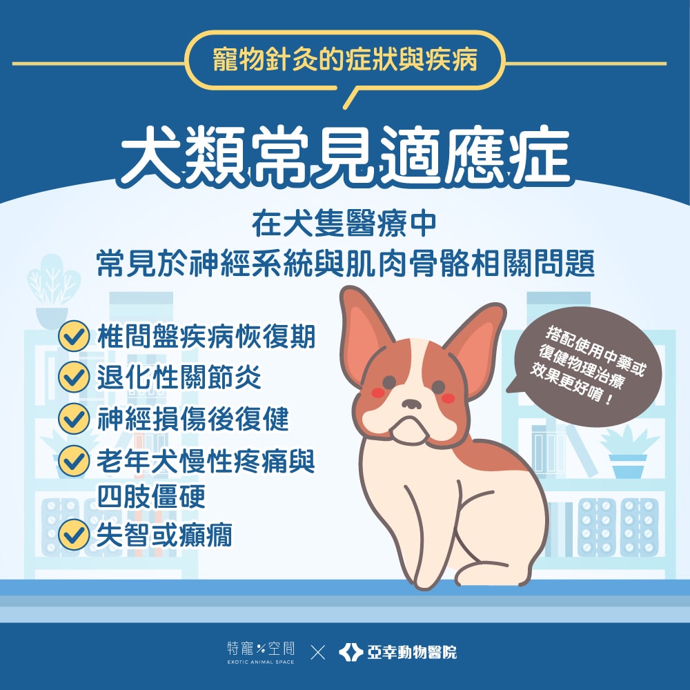 寵物針灸是什麼?哪些動物適合?獸醫師帶你一次看懂適應症與照護重點 3 寵物針灸05.犬類常見適應症