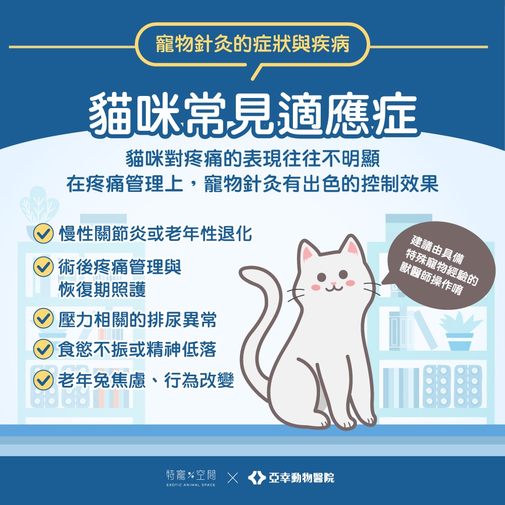 寵物針灸是什麼?哪些動物適合?獸醫師帶你一次看懂適應症與照護重點 4 寵物針灸06.貓咪常見適應症