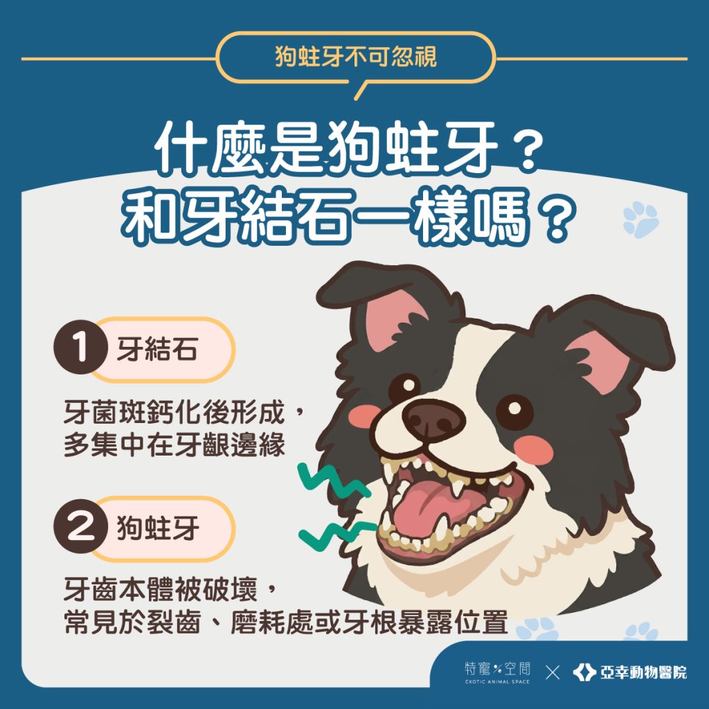 02.什麼是狗蛀牙？