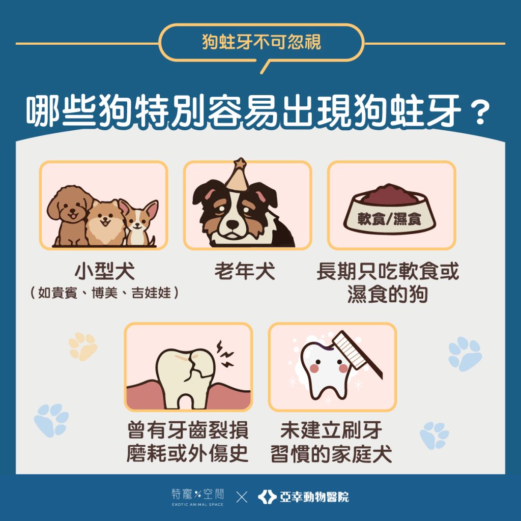 04.哪些狗特別容易出現狗蛀牙？
