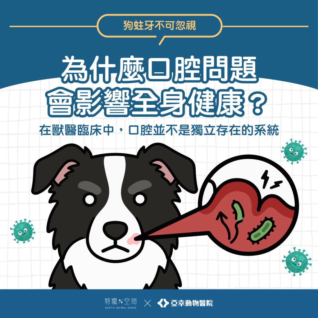 05.為什麼口腔問題會影響全身健康？