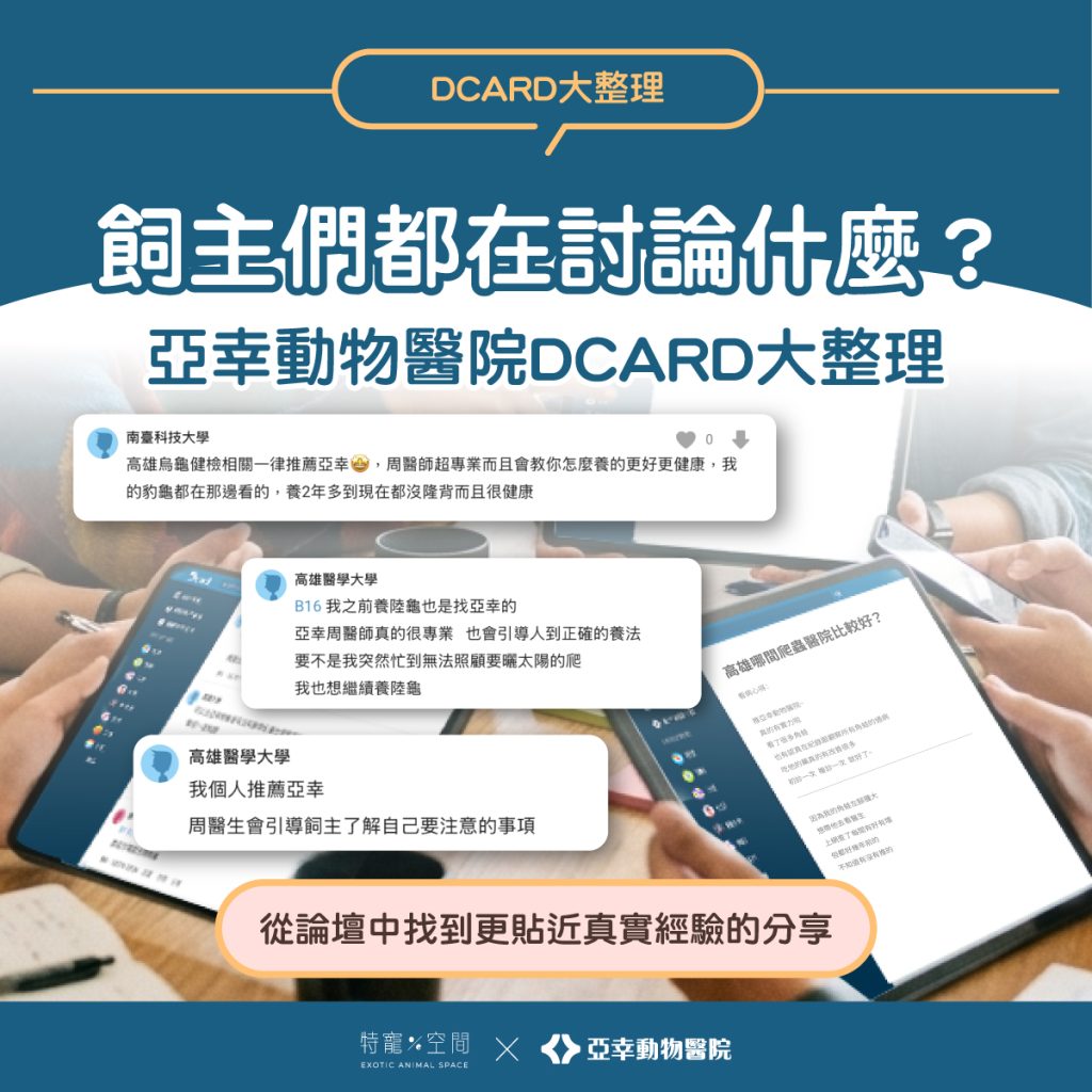 01.封面 飼主們都在討論什麼？亞幸動物醫院DCARD大整理