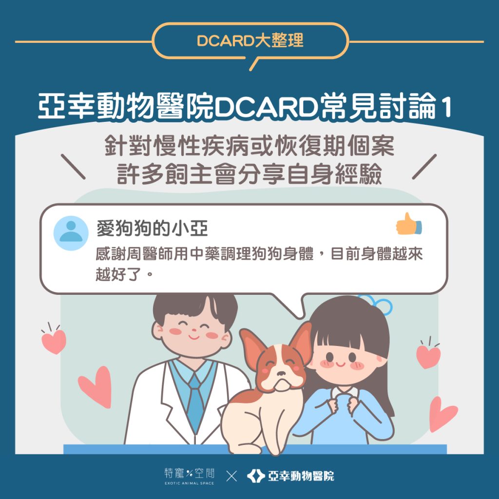 02.亞幸動物醫院DCARD常見討論1：中獸醫療程