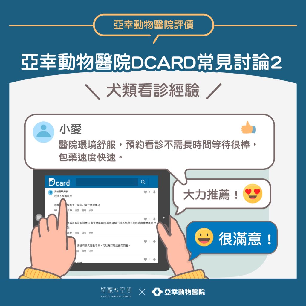 高雄飼主必看!亞幸動物醫院 DCARD評價整理:中獸醫、爬蟲看診與真實心得懶人包 2 03.亞幸動物醫院DCARD常見討論2