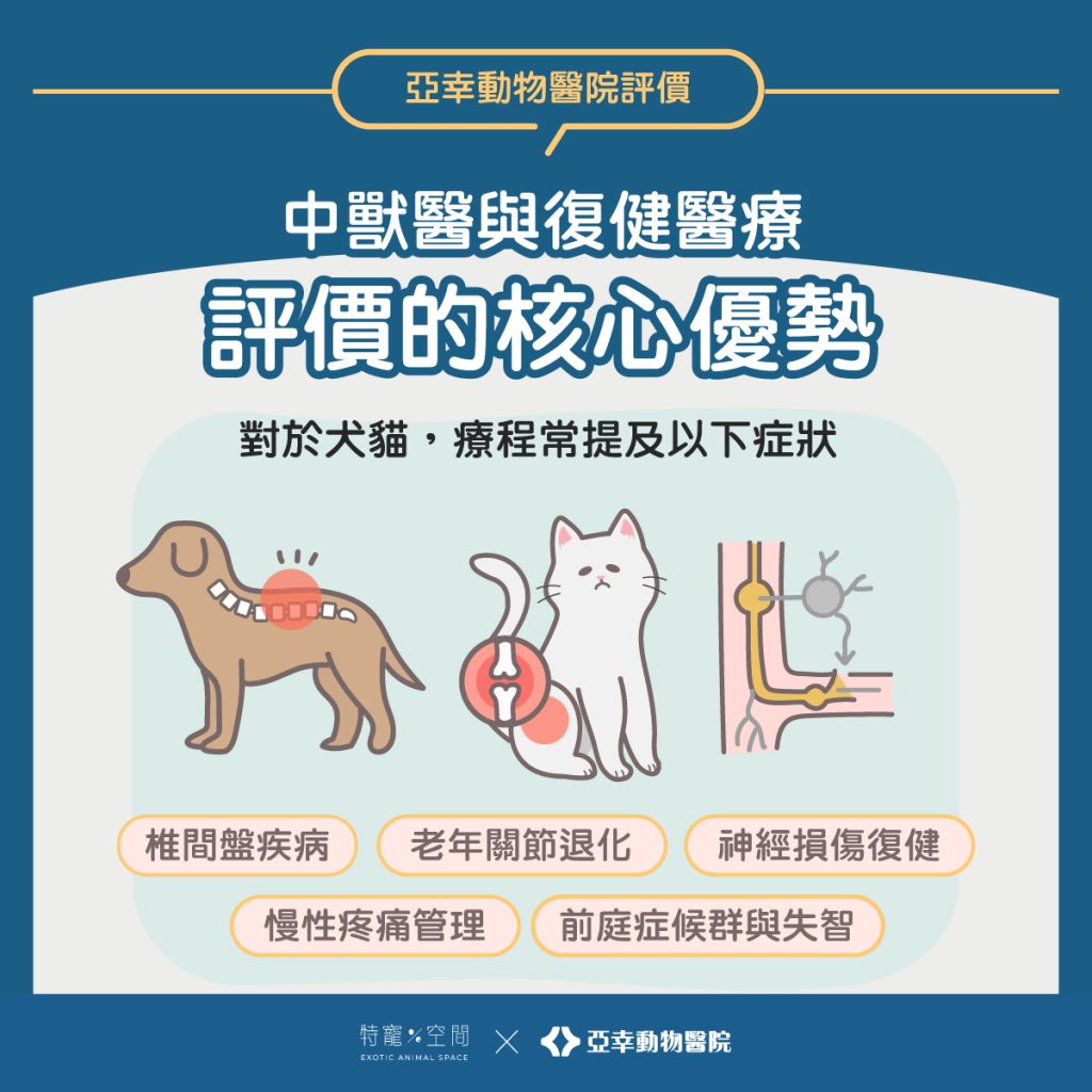 高雄爬寵與中獸醫首選?亞幸動物醫院評價整理,這「三個原因」讓飼主一致推爆! 2 03中獸醫與復健醫療評價的核心優勢