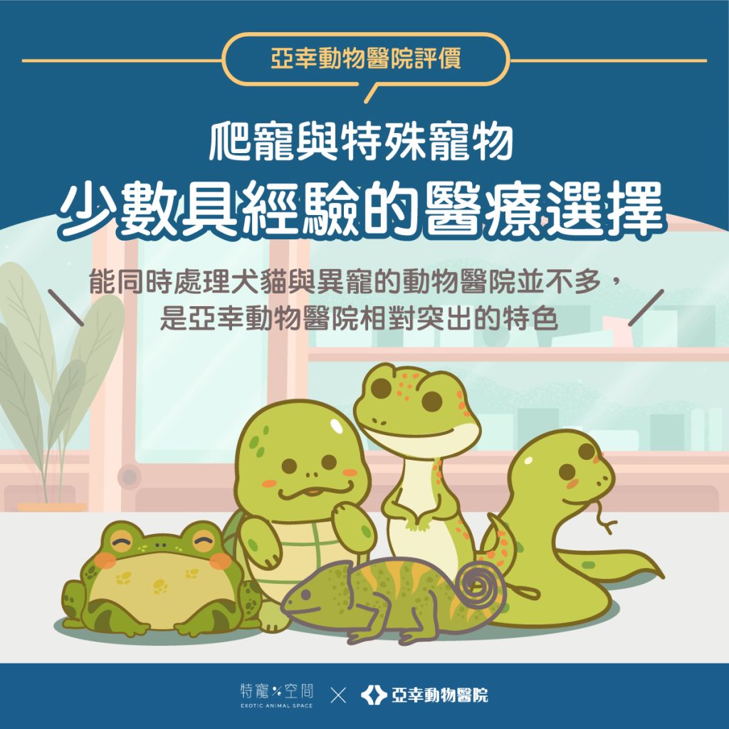 高雄爬寵與中獸醫首選?亞幸動物醫院評價整理,這「三個原因」讓飼主一致推爆! 3 04.爬寵與特殊寵物 少數具經驗的醫療選擇