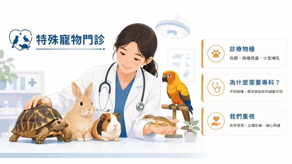 2026特殊寵物科