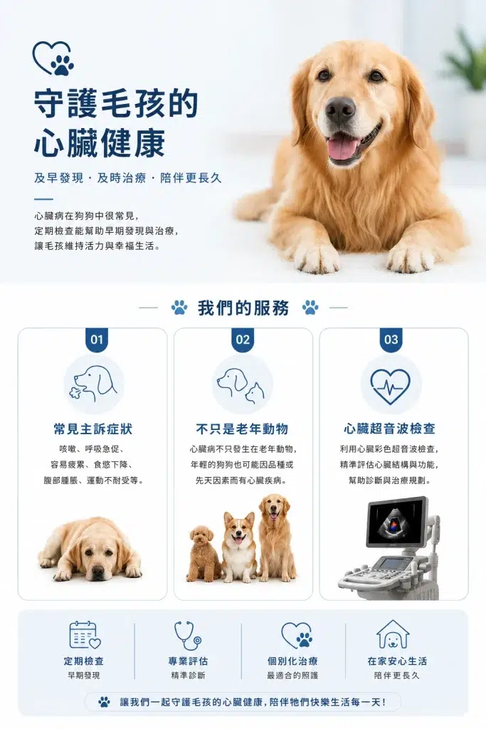 犬科醫療